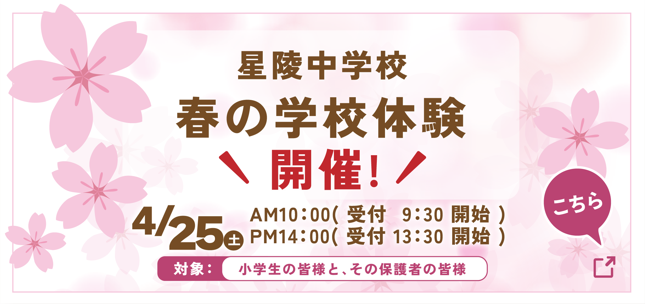 星陵中学校 春の学校体験