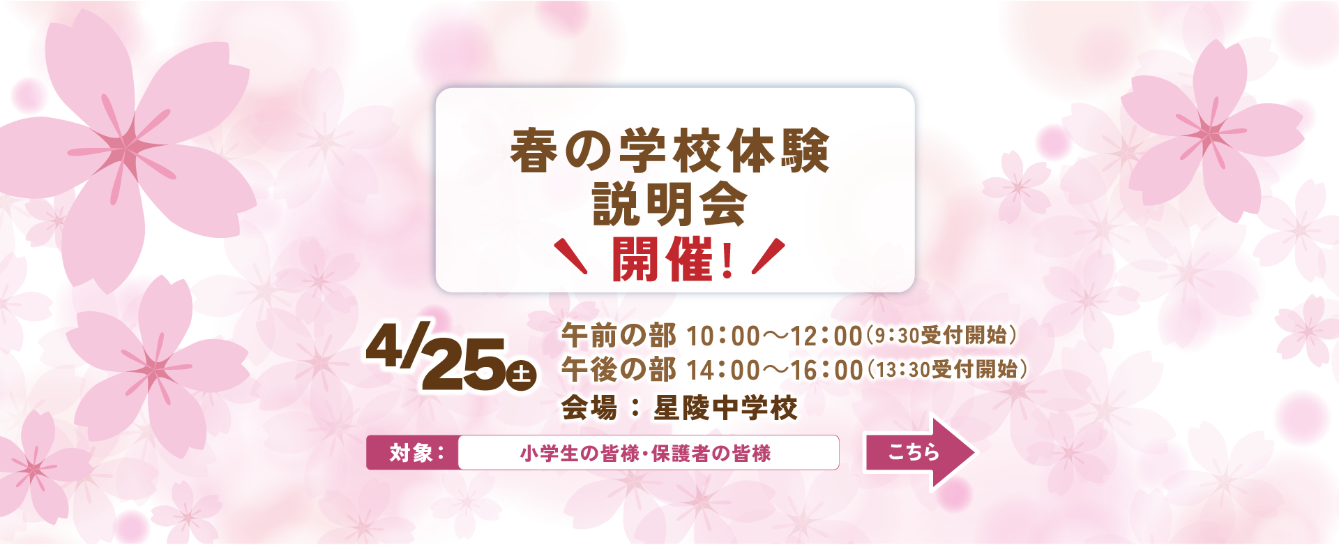 星陵中学校 春の学校体験
